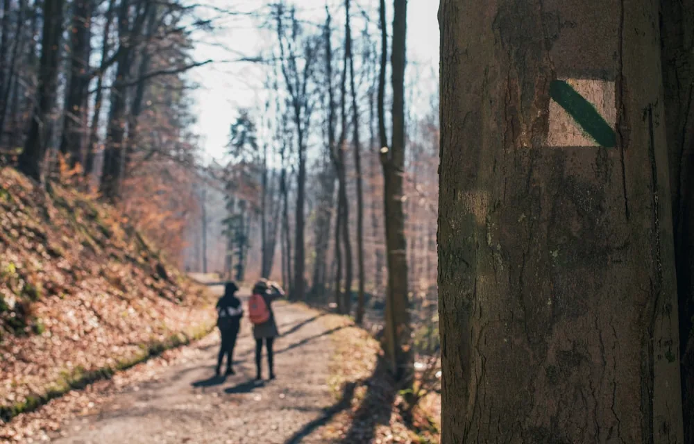 Un sentier de forêt en automne, parcouru par deux personnes