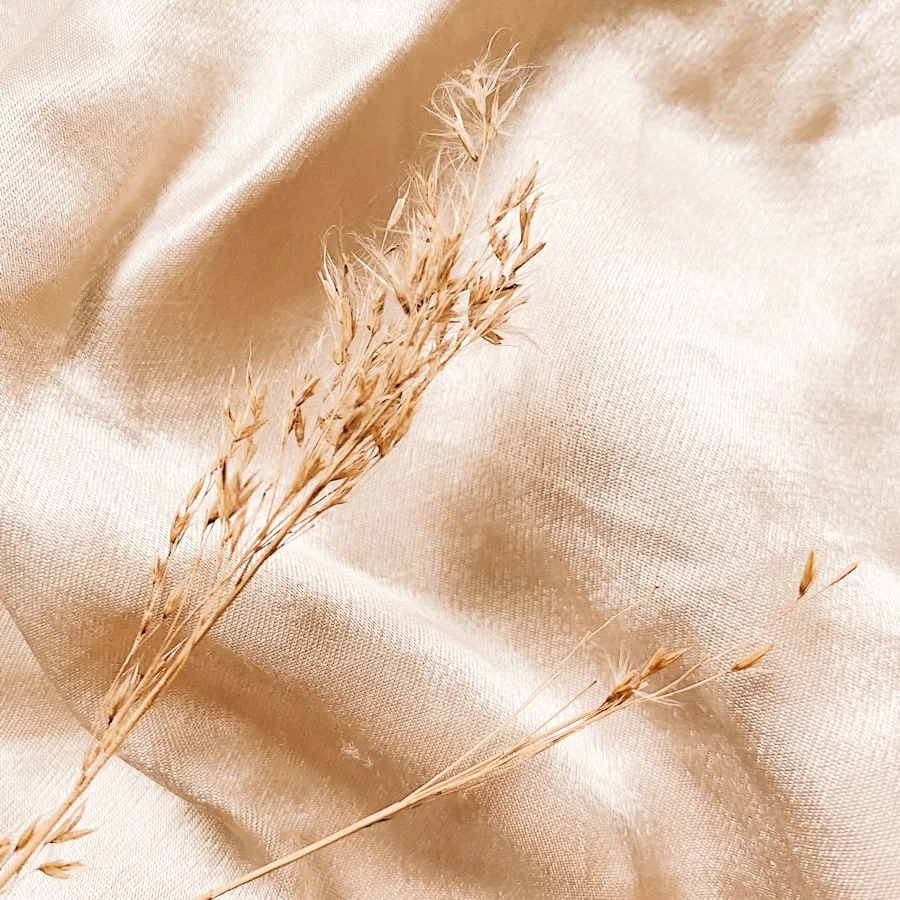 Épis séchés posés sur un textile clair